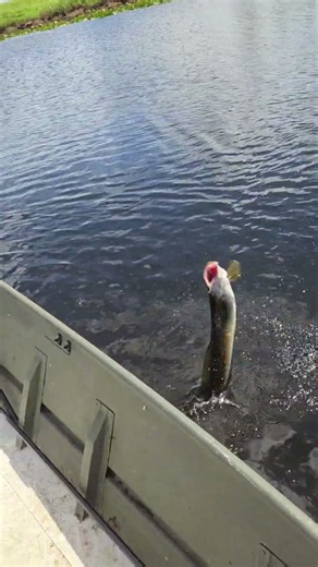 F... the gas prices, im going fishing