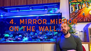 15 Types of Tangs: The Reef Keeper's Guide to Saltwater Surgeonfish