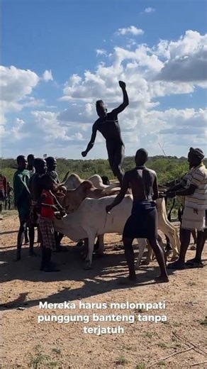 Ritual Tari Lompat Banteng Suku Hamar #short #SukuHamar