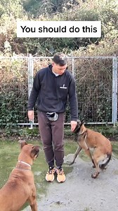 🐾Peaceful walks and stress-free playtime start with the Dog Calming Code. 🌟🐾 Link in BIo @wedogtrainer . . . . . . . . . DM For Credit Or Removal . #doghandling #igpdog #DogTraining #ReactiveDog #DogBehavior #DogHealth #TeenagedDog#DogTraining #DogTrainingTips #DogTrainingAdvice #ReactivityTrainingTips #labrador #acergundogs #gundogtrainingonline | We Dog Trainer