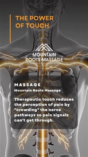 The Gate Control Theory: Why Touch Reduces Pain