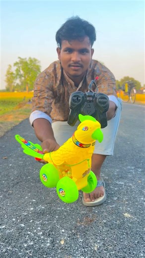 Rc remote control parrot 🦜unboxing & testing￼