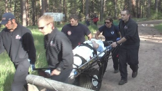 Woman injured in moose attack released from hospital