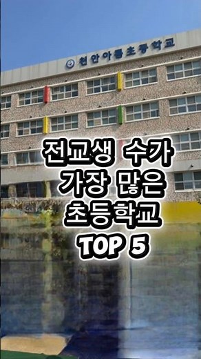 2026 초등학교 학생수가 가장 많은 학교 TOP 5#학생수#전교생#학교정보#초등학교순위#학생수순위#2026초등#shorts