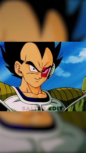 Vegeta Quotes from Dragon Ball Z