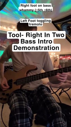 Tool- Right In Two Intro Bass Cover