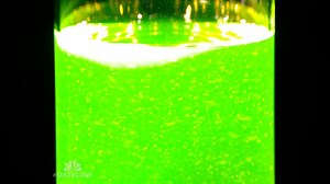 The trouble is when the symptoms of antifreeze poisoning show up, it may be too late... | Dateline NBC