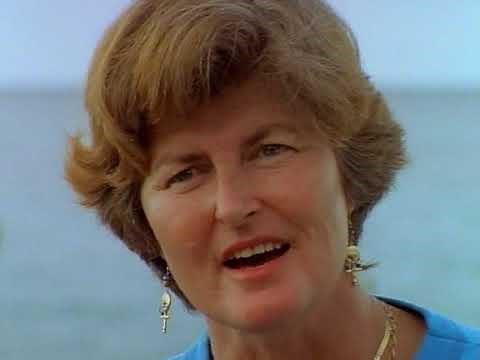 Documentary National Geographic The Fox and the Sharks