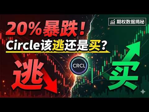 20%暴跌！Circle该逃还是买？ #CRCL #Circle期权 #USDC稳定币 #Tether审计 #ClarityAct #117看涨大单 #期权抄底 #机构动向 #稳定币大战
