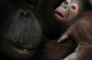 Need a 10-minute break? Step into the Reading Room…