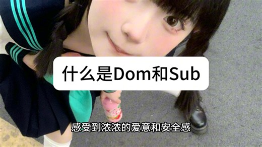 什么是Dom和Sub