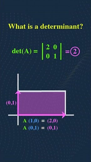What Does a Determinant Actually Mean? | Linear Algebra Visualization