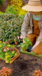 Curious about how your plants get garden-ready? 🌱 Each Burpee Garden-Ready Plant begins in our Pennsylvania greenhouses where they’re nurtured from seed by expert horticulturists for strong, healthy roots. 🌿 Each plant is inspected, hand-selected, and shipped at just the right time for your region. 📦 We’re shipping all month, so now’s the perfect time to get growing! 🌸 Shop garden-ready plants: https://bit.ly/3koUQOd | Burpee Gardening