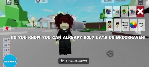 Hold Cats on Brookhaven Tutorial