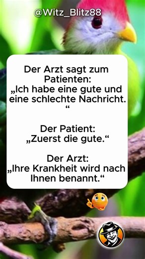 Die gute Nachricht 😂 #lustig #komödie #witze #fürdich #kurzvideo #shorts #memes #trendingvideo