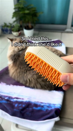 Bath time just got easier 🐱 #catshower #catcalm #usa