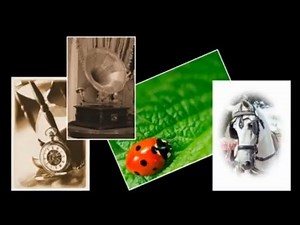 Part 2 of 6: Background, Raster, Vector and Art Media Layers