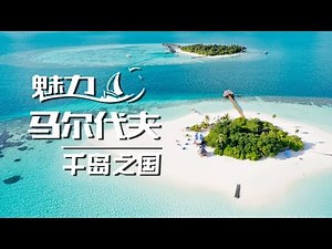 🎨天堂的调色板 每一帧都是画💕满足你对浪漫的所有想象 | 魅力马尔代夫 Glamorous Maldives EP1 千岛之国
