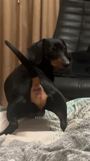 Я не думала що таке можливо!