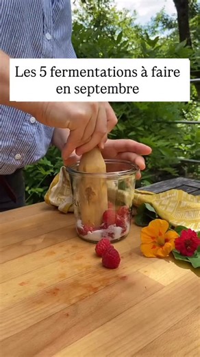 7.7K views · 851 reactions | Les petites fermentations de septembre ✨...