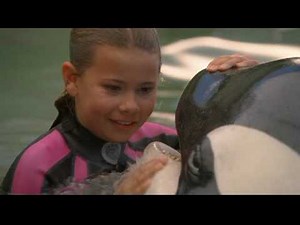 Free Willy: Escape from Pirate's Cove Review (Film and Blu-ray)