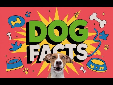 10 Amazing Dog Facts You Didn't Know 🐶🐾