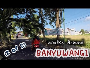 TRAVEL: Walks around Banyuwangi, East Java 🇮🇩