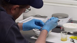 World’s rarest parrot, declared extinct in wild, hatches at zoo