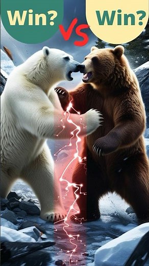 Brown Bear vs Polar Bear: Who Would Win in a Fight? ll Detailed Comparison #discovery #wildlife