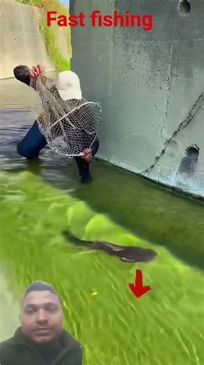 very fast fishing #fish#carp#fishing#fish_video#trending#shorts#short#fishing_video#diy#galaxy#sea