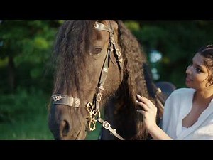 Friesian Horse and Girl Love #short