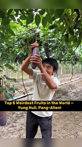 3.6K views · 76 reactions | Top 5 Weirdest Fruits in the World — Yung Huli, Pang-Alien!”  FOLLOW FOR MORE VIDEOS #highlights #highlightseveryone #trivia #virals #everyone #satisfying #viralpost #fypシ #facts #fypシ゚viral #craft #foryoupageシ #art #informative #information #science #sciencefacts #melvinfactstories #MelvinFS #fruitlover #prutas #fruits #fruitsalad | Melvin Tampos | Facebook