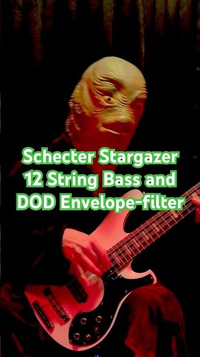 Schecter Stargazer 12 String Bass