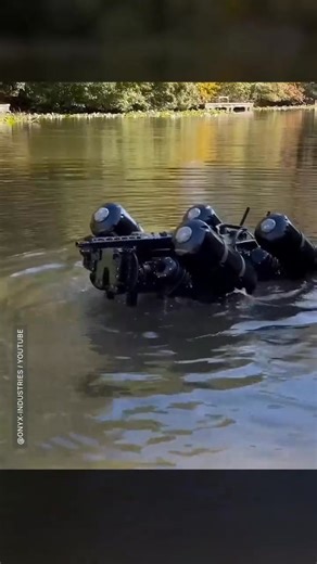 A robotic dog that swims and carries a weapon. Should we be worried? Video: onyx-industries / YouTube #robotics #robotdog #robots #tech #technews | Digital Trends