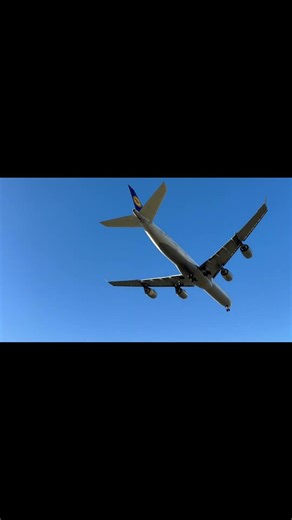 Lufthansa Airbus A340-400 Landing at IAD