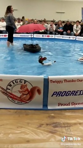 Ryan Baniecke on TikTok