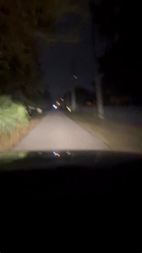 Rhett Stanberry on Instagram: "Taylor was driving home from work when she spotted an invasive Burmese Python. She didnt have a light an also terrible headlights because she was driving a rental car 😣 #python #everglades #invasivespecies #invasivepython #naplesflorida #soflo #florida #snakecatcher #snakewrangler"