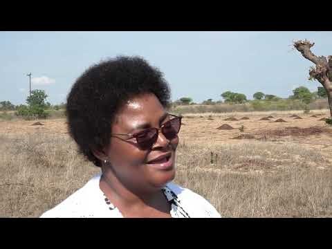 FOCUS ON WOMEN | FISTULA VC WOMEN'S HEALTH