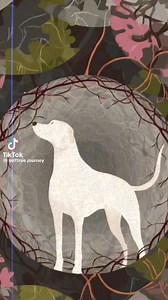 This explains so much. 🐾❤️ | Woody's Place Senior German Shepherd Sanctuary