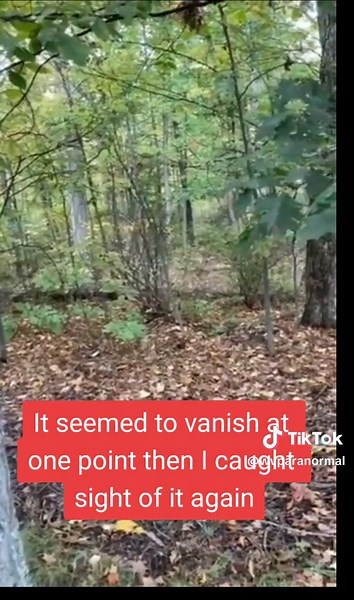 this will blow your mind part 1 #fyp #aliens #ufo #disclosure #giants #bigfoot #dogman #paranormal #conspiracy #creepy #scary #wv