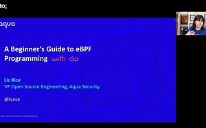 A Beginner's Guide to eBPF Programming with Go • Liz Rice •