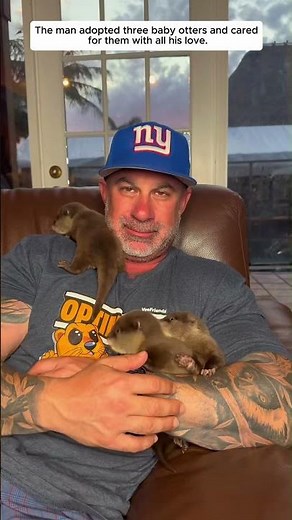 The man adopted three baby otters and cared for them with all his love.