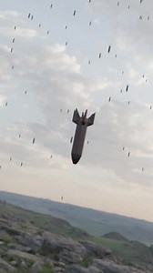 What Were Wolf Dogs Bombs .. .. .. #facts #3danimation #reels #animation #viral #explore | Itz 3D Animation