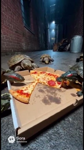 😂 The pizza-eating turtle #turtle #viralvideo #shortvideo
