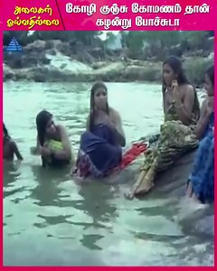 146K views · 1K reactions | கோழி குஞ்சு கோமணம் தான் கழன்று போச்சுடா....