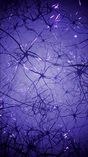 How brain works (neuron power)