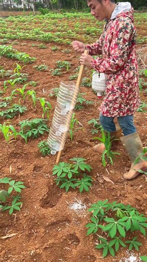 Applying Fertilizer to Crops! 🌾✨ #shorts 🚀🌱