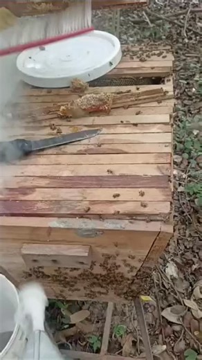 100% Pure, Raw Honey directly harvested from the hive. Our honey is...