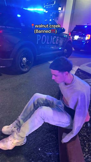 What Happened in Walnut Creek? Police Encounter Explained