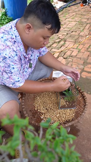 41K views · 197 reactions | Setup một bể thuỷ sinh mini để bàn 殺 #bonsaibmt #tieucanhmini #beca #thuysinh | Bonsai Mini BMT【Nhật Anh】 | Facebook